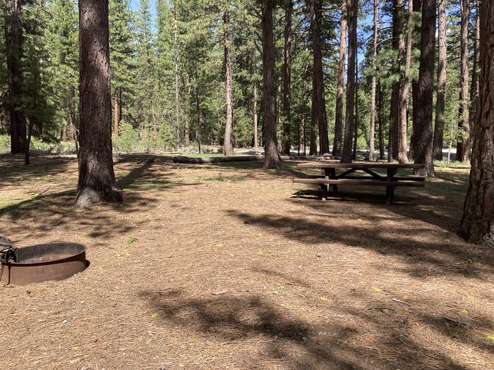 A photo of Site 038 of Loop AREA LIGHTNING TREE at LIGHTNING TREE with Picnic Table, Fire Pit, Shade, Tent Pad