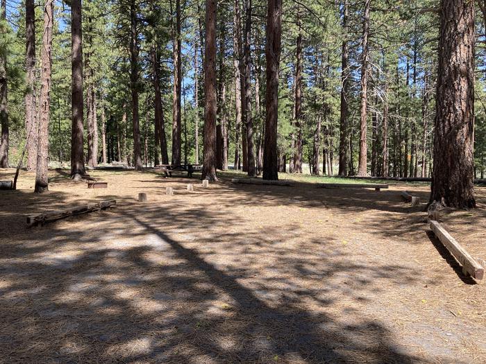 A photo of Site 038 of Loop AREA LIGHTNING TREE at LIGHTNING TREE with Picnic Table, Shade