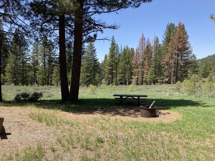 A photo of Site 009 of Loop AREA LIGHTNING TREE at LIGHTNING TREE with Picnic Table, Fire Pit, Shade, Tent Pad