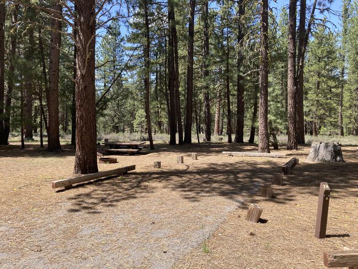 A photo of Site 024 of Loop AREA LIGHTNING TREE at LIGHTNING TREE with Picnic Table, Fire Pit, Shade
