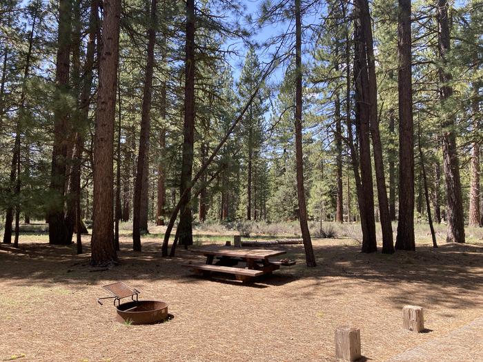 A photo of Site 024 of Loop AREA LIGHTNING TREE at LIGHTNING TREE with Picnic Table, Fire Pit, Shade, Tent Pad