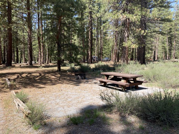 A photo of Site 025 of Loop AREA LIGHTNING TREE at LIGHTNING TREE with Picnic Table, Fire Pit, Shade, Tent Pad