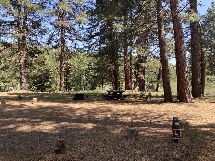 A photo of Site 031 of Loop AREA LIGHTNING TREE at LIGHTNING TREE with Picnic Table, Fire Pit, Shade