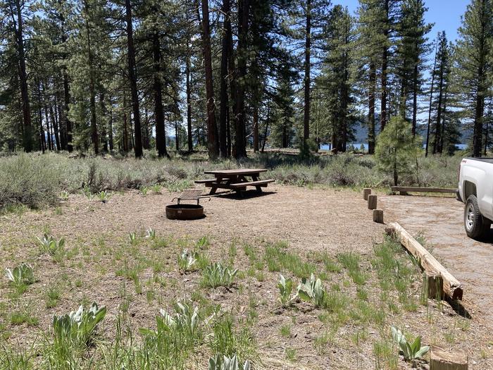 A photo of Site 013 of Loop AREA LIGHTNING TREE at LIGHTNING TREE with Picnic Table, Fire Pit