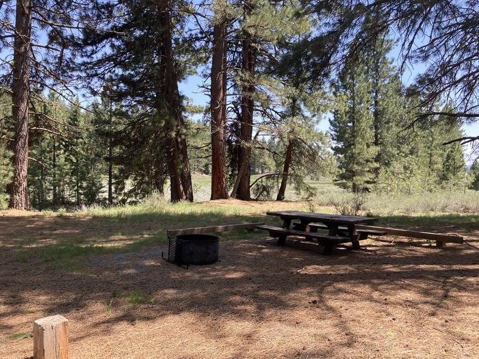 A photo of Site 031 of Loop AREA LIGHTNING TREE at LIGHTNING TREE with Picnic Table, Fire Pit, Shade, Tent Pad