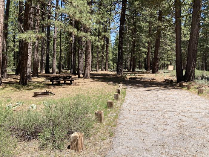 A photo of Site 002 of Loop AREA LIGHTNING TREE at LIGHTNING TREE with Picnic Table, Fire Pit, Shade