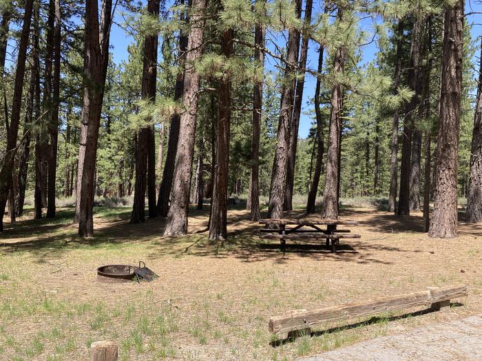 A photo of Site 002 of Loop AREA LIGHTNING TREE at LIGHTNING TREE with Picnic Table, Fire Pit, Shade, Tent Pad