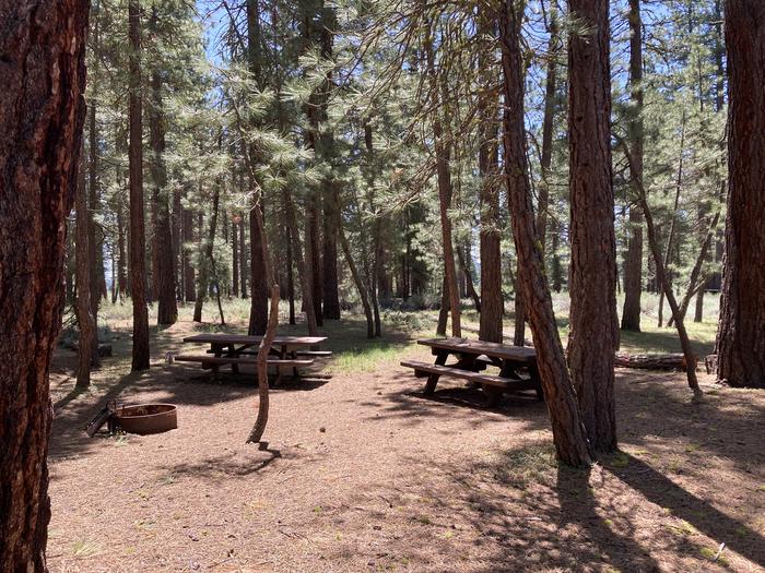 A photo of Site 001 of Loop AREA LIGHTNING TREE at LIGHTNING TREE with Picnic Table, Fire Pit, Shade, Tent Pad
