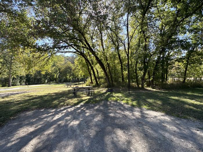 A photo of Site 924 of Loop Loop 900 at ALLEY SPRING with Picnic Table, Fire Pit, Shade, Lantern Pole