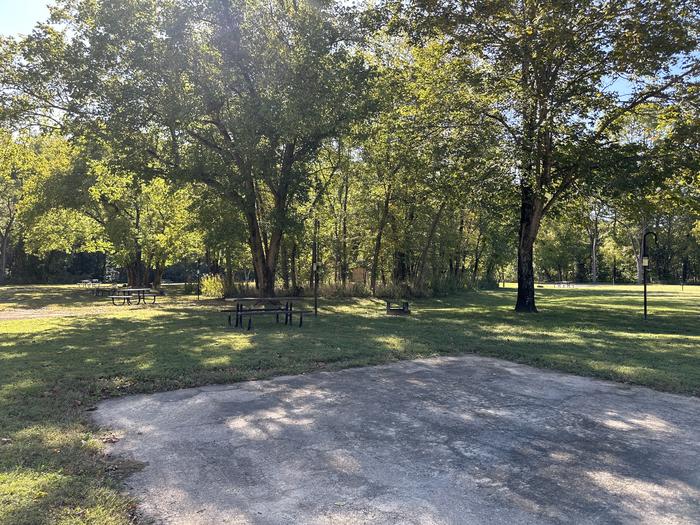 A photo of Site 826 of Loop Loop 800 at ALLEY SPRING with Picnic Table, Fire Pit, Lantern Pole