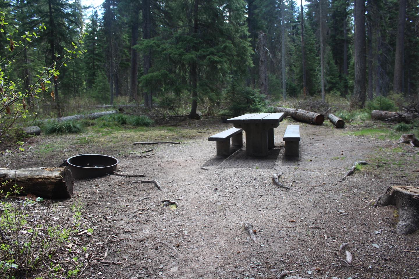 A photo of Site 1 in Lake Alva Campground with picnic table and campfire ring. The ground is dirt/gravel with roots and logs.
