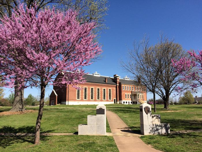 Spring MorningIn spring, the blooming redbud trees create a lively scene.