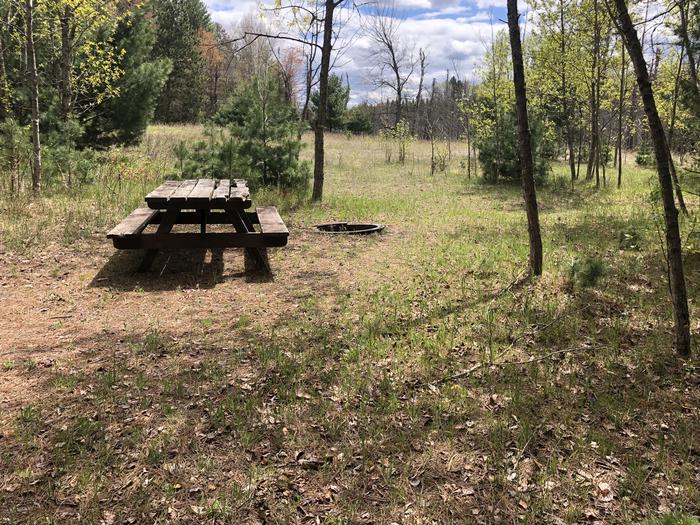 A photo of Site 5 of Loop Hike To at Wakeley Lake Campground with Picnic Table, Fire Pit