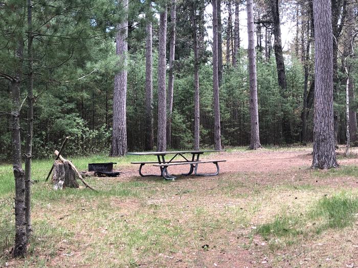 A photo of Site 1 of Loop Hike To at Wakeley Lake Campground with Picnic Table, Fire Pit