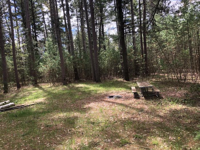 A photo of Site 4 of Loop Hike To at Wakeley Lake Campground with Picnic Table, Fire Pit