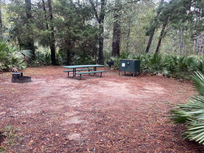 A photo of Site 049 of Loop SAND at JUNIPER SPRINGS REC AREA with Picnic Table, Fire Pit, Shade, Food Storage, Lantern Pole