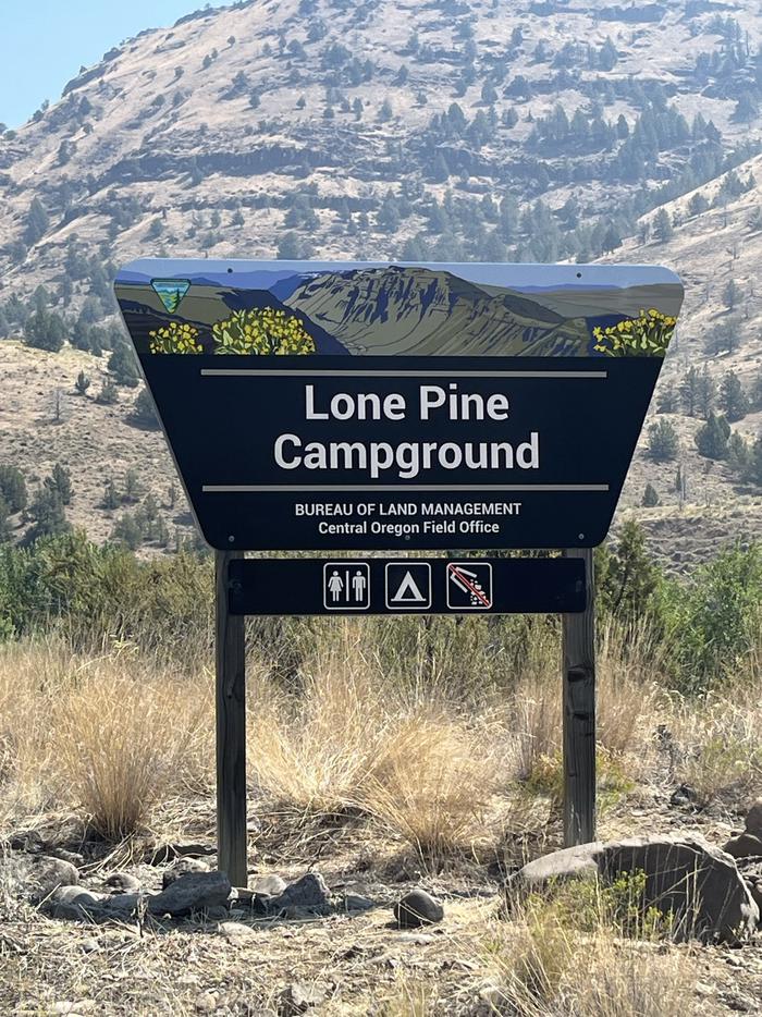 This imagine depicts the Lone Pine Campground site id sign.Lone Pine Campground site ID sign