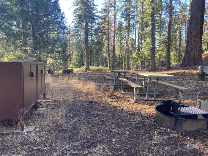 Site 432 Tent area