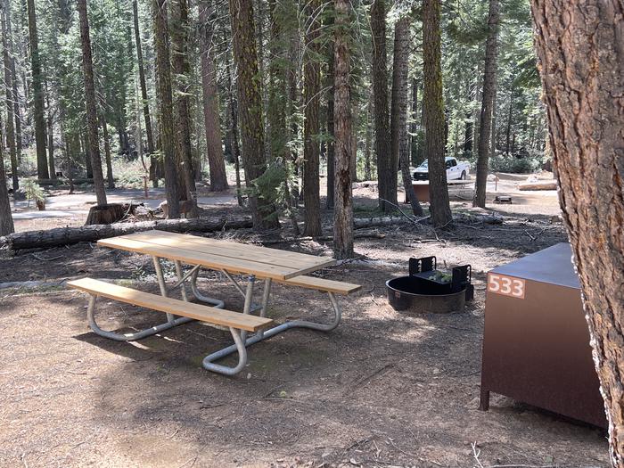Site 533 table, food locker and fire ring.