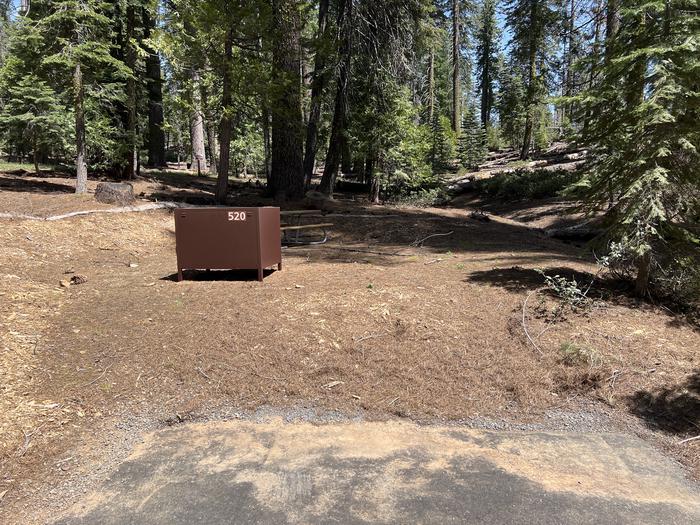 A photo of Site 520 of Loop 5 at Crane Flat Campground with Fire Pit, Food Storage