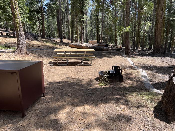 Site 534 fire ring, table and food locker.