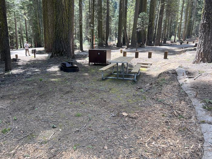A photo of Site 310 of Loop 3 at Crane Flat Campground with Picnic Table, Fire Pit, Food Storage