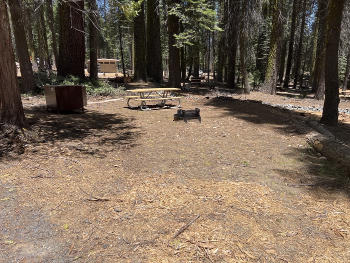 A photo of Site 303 of Loop 3 at Crane Flat Campground with Picnic Table, Fire Pit, Food Storage