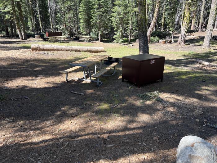 A photo of Site 501 of Loop 5 at Crane Flat Campground with Picnic Table, Fire Pit, Food Storage