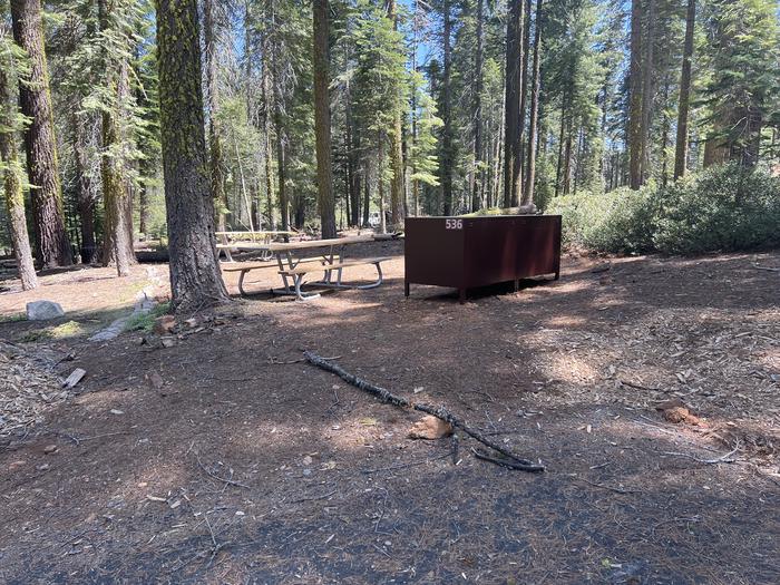 A photo of Site 536 of Loop 5 at Crane Flat Campground with Picnic Table, Fire Pit, Food Storage