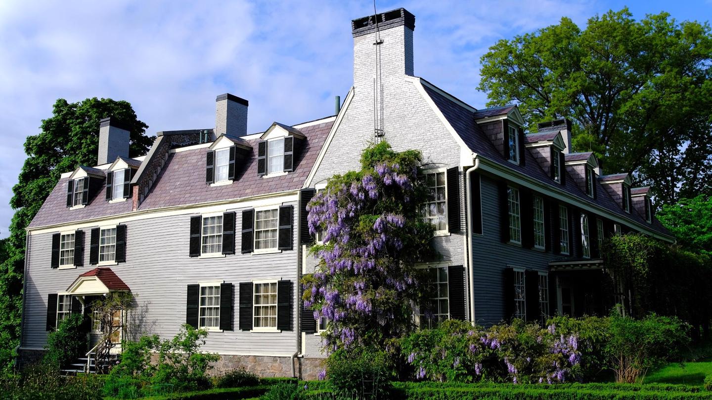 A large building with light gray siding, multiple windows with white trim and black shutters, and 3 chimneys. Blooming purple wisteria flowers grow on a vine up the side of the building. building covered with green vines and next to it a large home with gray siding, white trim, and black shutters. In the foreground is a garden with boxwoods.The Old House at Peace field.