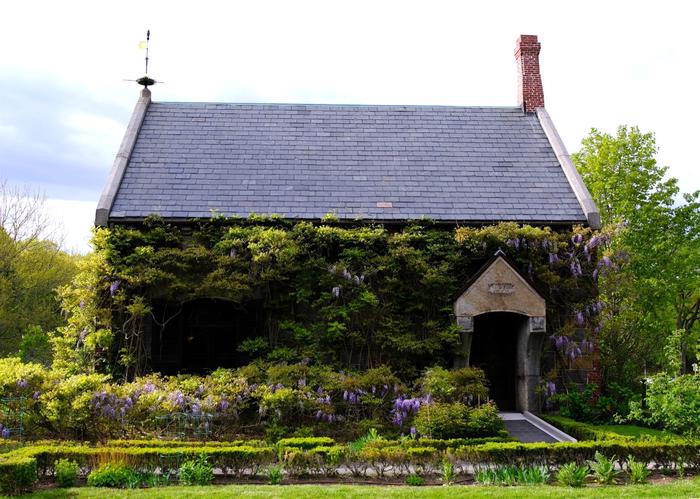 Stone building with doorway on the right side, with vines covering it. There is a gold weathervane on the roof on the left side. Shrubs surround the building. The Stone Library houses up to 14,000 books belonging to the Adams family.