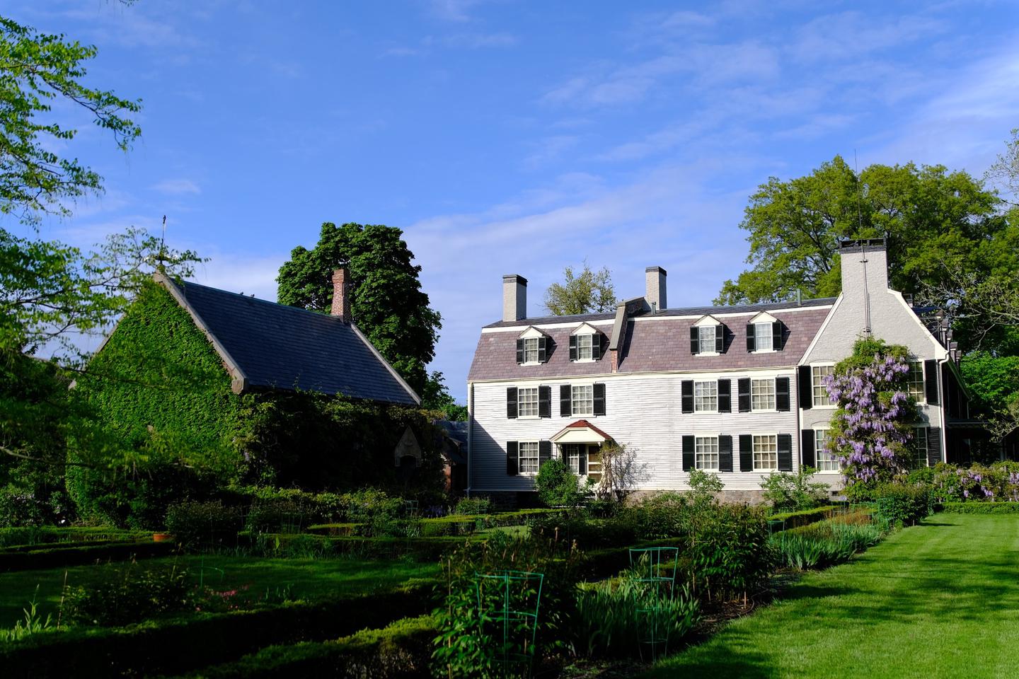 A side view of two buildings. On the left, there is a small stone building covered with wisteria and next to it a large home with gray siding, white trim, and black shutters. In the foreground is a garden with boxwoods and a large yellowwood tree on the right. A view of Old House at Peace field and Stone Library from the formal garden.