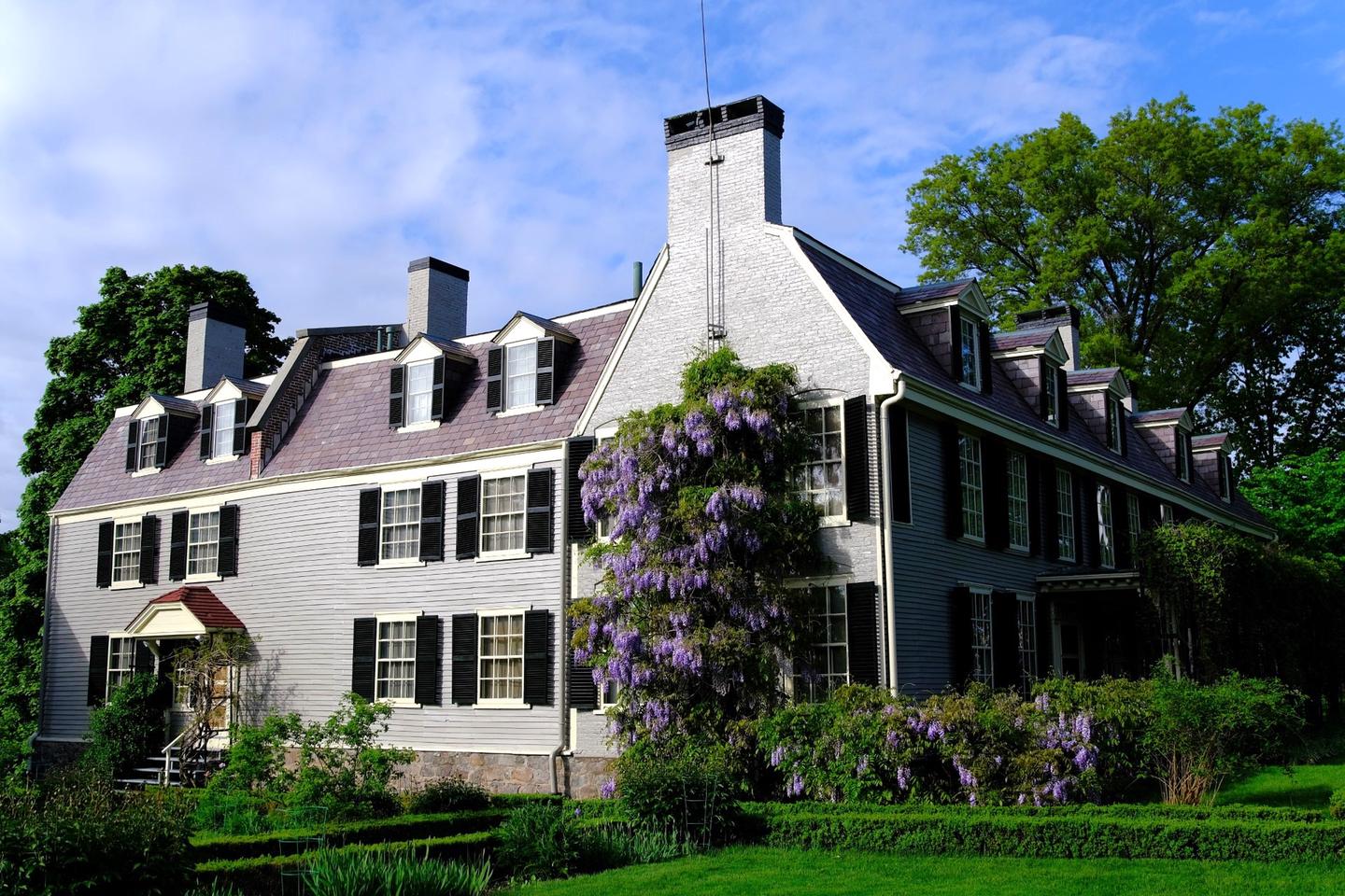 A large building with light gray siding, multiple windows with white trim and black shutters, and 3 chimneys. Blooming purple wisteria flowers grow on a vine up the side of the building. building covered with green vines and next to it a large home with gray siding, white trim, and black shutters. In the foreground is a garden with boxwoods.The Old House at Peace field is the third stop on the Extended Park Tour. The Old House at Peace field was home to four generations of the Adams family, starting with John and Abigail Adams who moved into the home in 1788. 