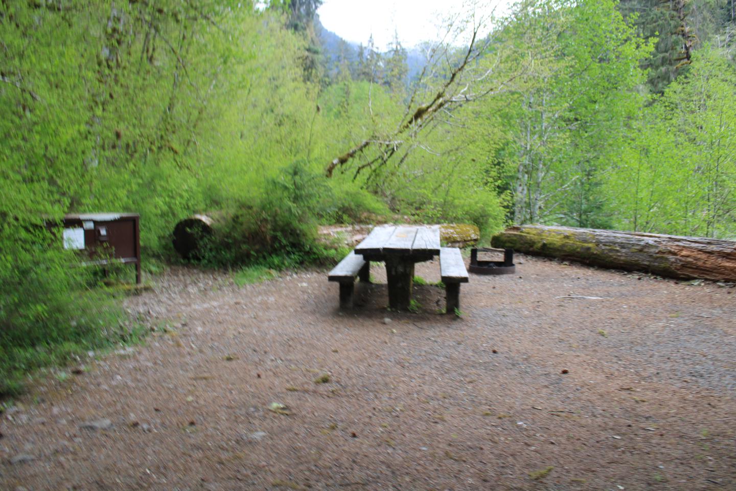 Picnic table and fire pit