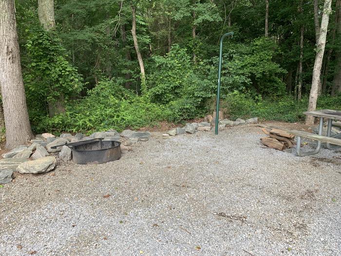 A photo of Site 05 of Loop RLOO at BUFFALO PARK with Picnic Table, Fire Pit, Lantern Pole