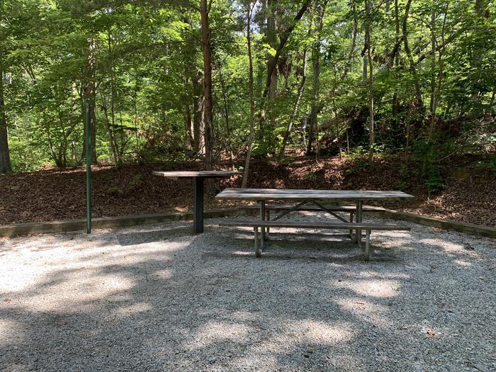 A photo of Site 51 of Loop RIGH at LONGWOOD PARK with Picnic Table, Lantern Pole