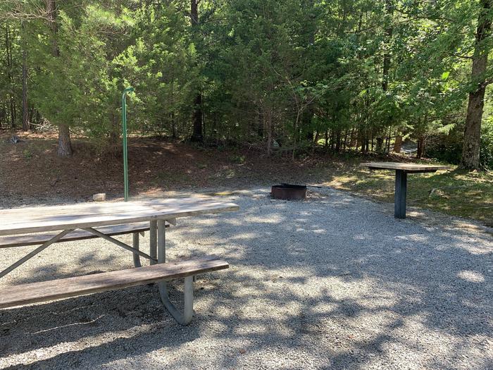 A photo of Site 48 of Loop RIGH at LONGWOOD PARK with Picnic Table, Fire Pit, Lantern Pole