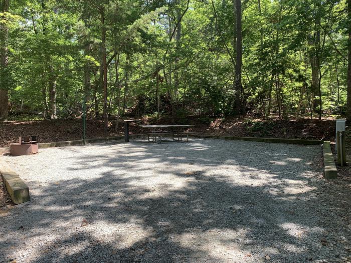 A photo of Site 51 of Loop RIGH at LONGWOOD PARK with Shade, Tent Pad
