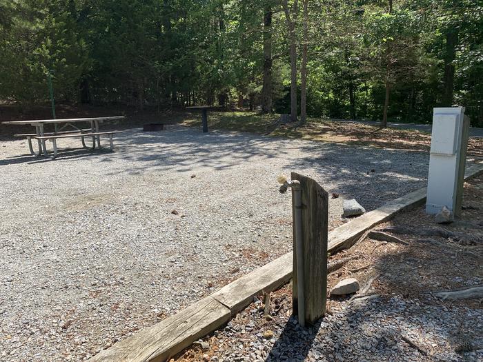 A photo of Site 48 of Loop RIGH at LONGWOOD PARK with Picnic Table, Electricity Hookup, Water Hookup
