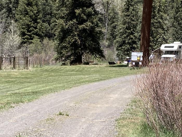 A photo of facility BLANCO RIVER GROUP CAMPGROUND with No Amenities Shown