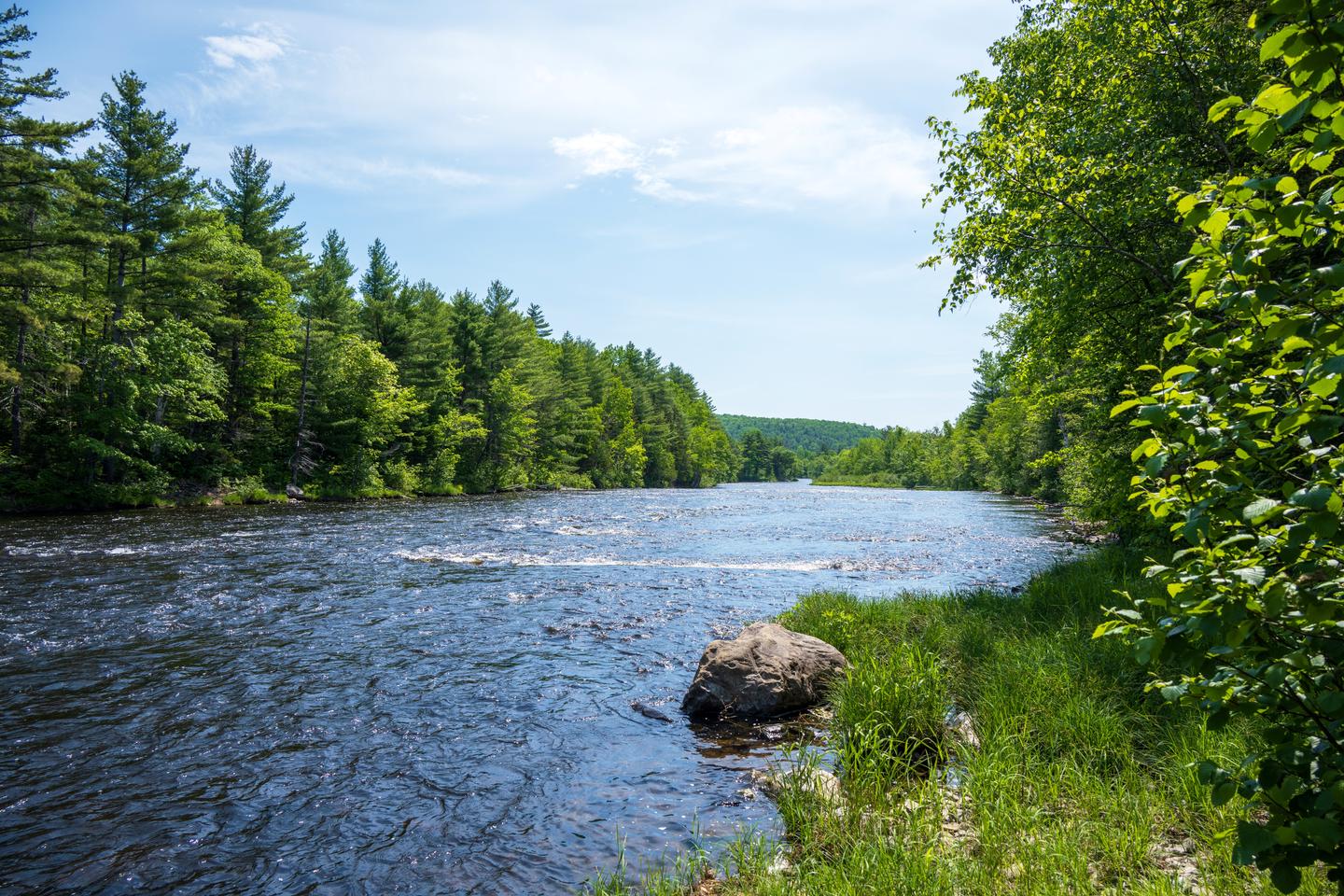 A view of the East Branch of the Penobscot River. A wide river on a sunny, blue-sky day. Lush green forest borders both sides of the river. The grass is tall on the rocky shoreline.The East Branch of the Penobscot River.