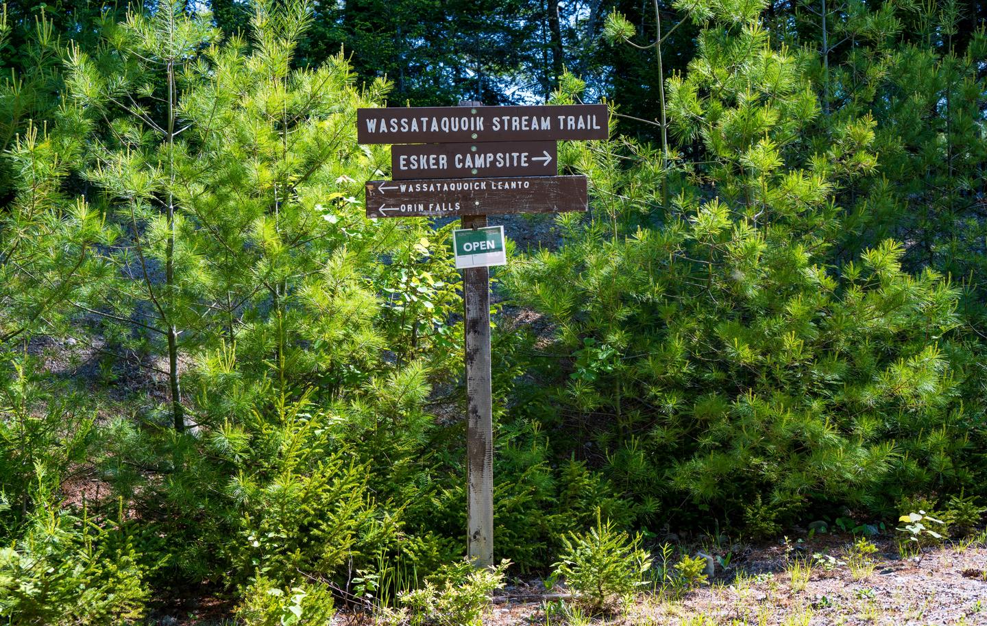 A brown wooden post that has three separate brown horizontal wooden signs with place names engraved with white paint affixed at the top of the post. The first sign at the top shows Wassataquoik Stream Trail, the second wooden sign shows Esker Campsite with an arrow pointing tot he right, the bottom sign has Wassataqoik LeanTo and Orin Falls with arrows pointed to the left. Behind the sign are evergreen trees with the blue sky showing through branches.A trail sign that points towards Esker Campsite. Reservation postings can be found here.
