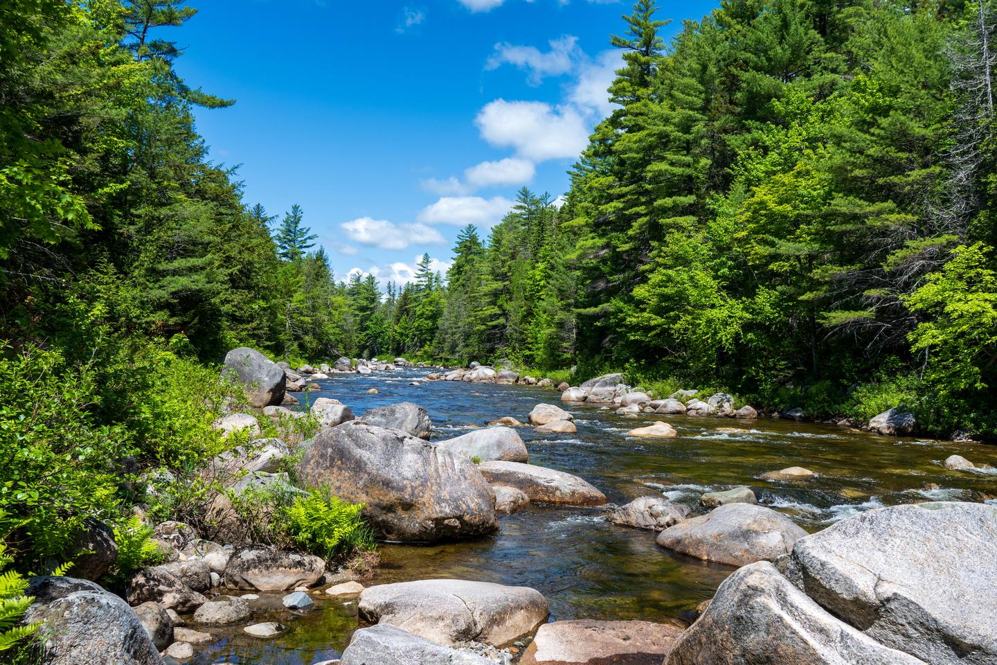 A view of Wassataquoik Stream on a sunny, blue-sky day. Large boulders and rocks are visible in the stream and dense green forest vegetation line both sides of the large stream.View of Wassataquoik Stream from Esker Campsite.