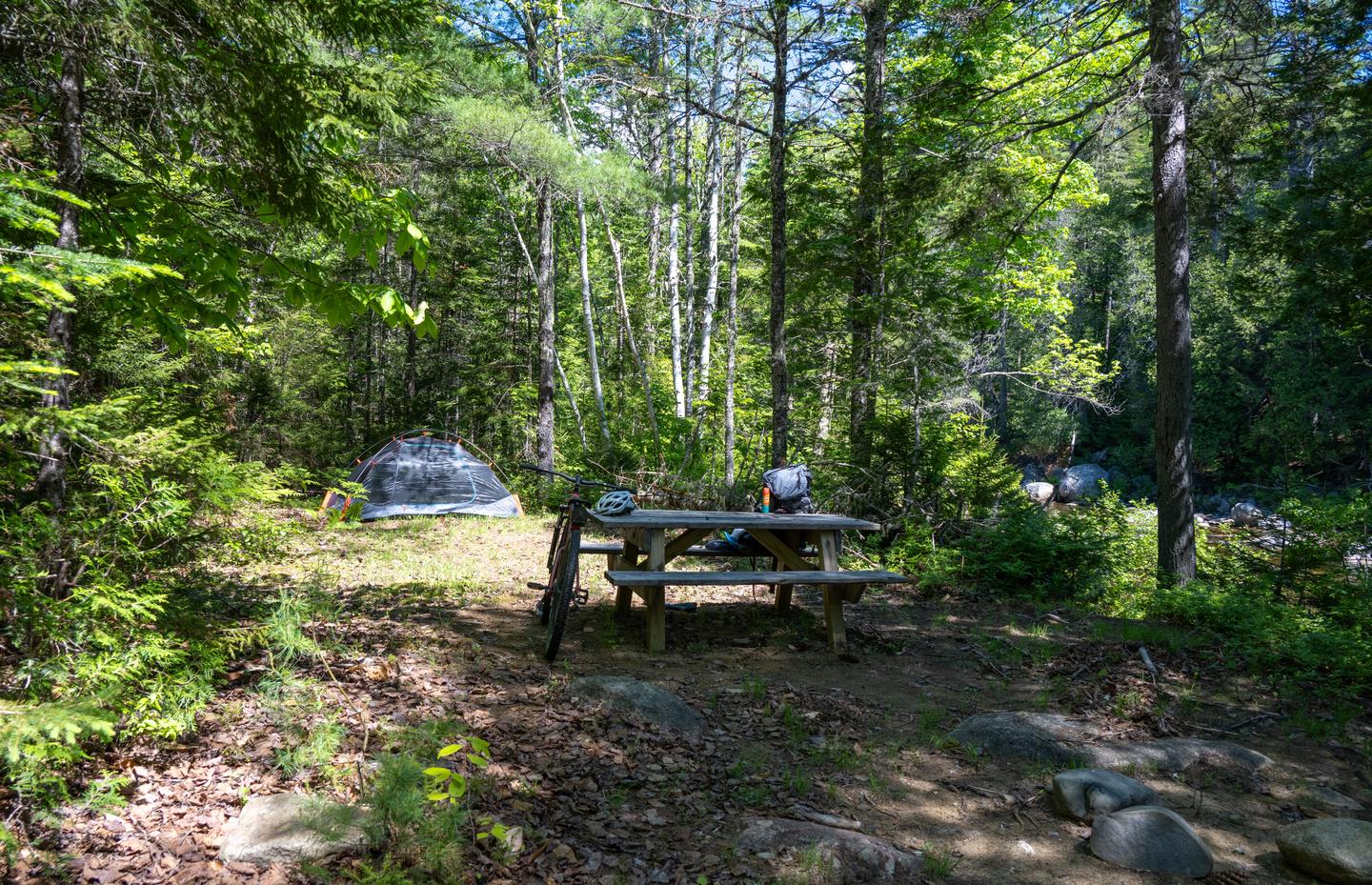Esker Campsite with a two person tent set up in the back where there is a leveled grassy area for a tent. A picnic table is in the shade in front, closer to the trail.Esker Campsite is a remote campsite next to Wassataquoik Stream.