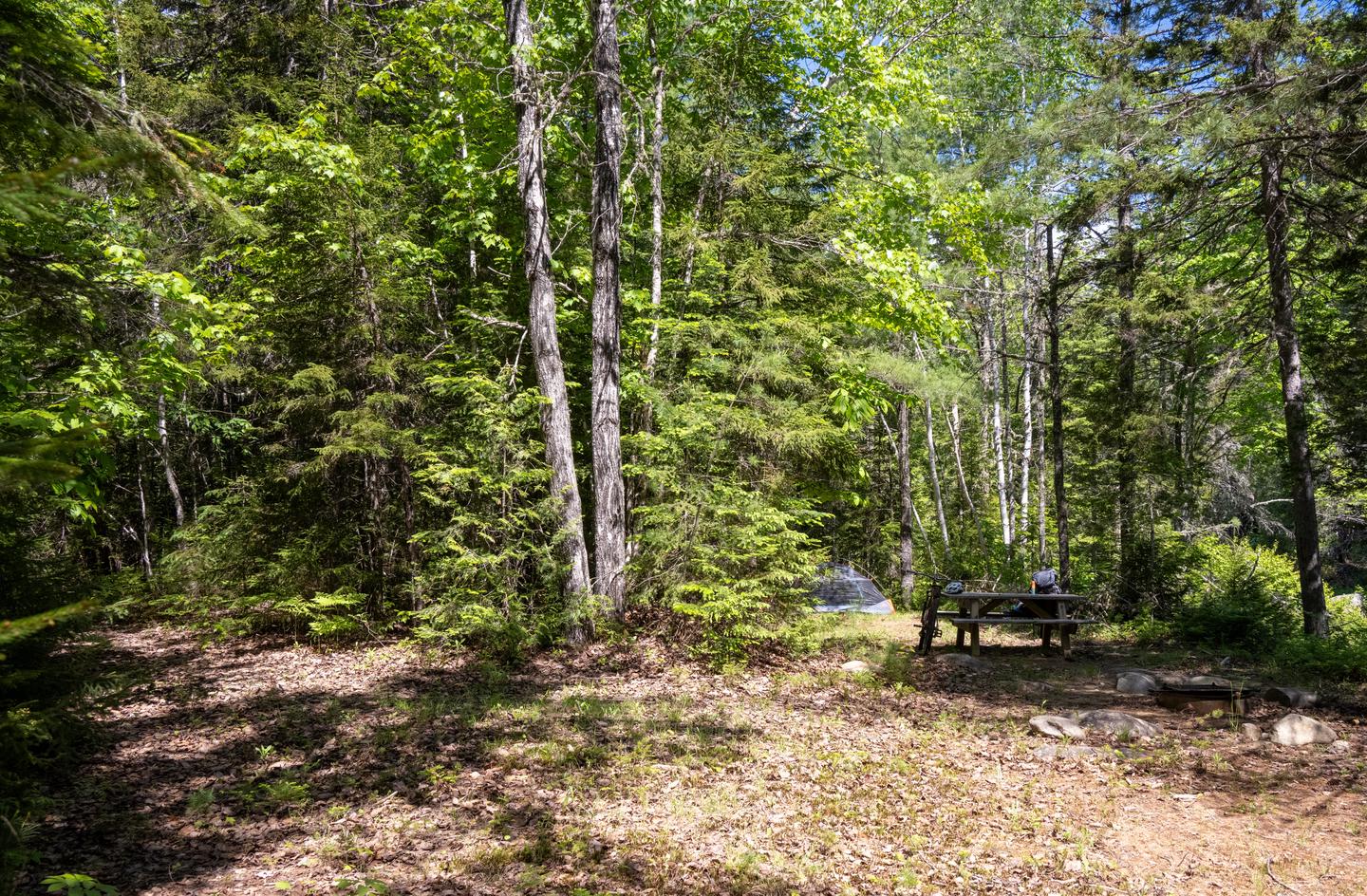 A gravel and dirt trail extends from the woods to Esker Campsite.Access Esker Campsite by foot from Wassataquoik Gate by taking an approximately 2.2-miles dirt and gravel trail.