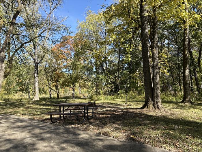 A photo of Site 316 of Loop Loop 300 at ALLEY SPRING with Picnic Table, Fire Pit, Lantern Pole