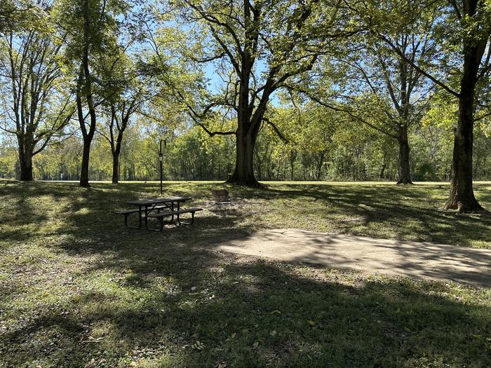 A photo of Site 123 of Loop Loop 100 at ALLEY SPRING with Picnic Table, Fire Pit, Lantern Pole