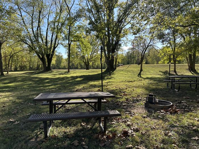 A photo of Site 118 of Loop Loop 100 at ALLEY SPRING with Picnic Table, Fire Pit, Shade, Lantern Pole