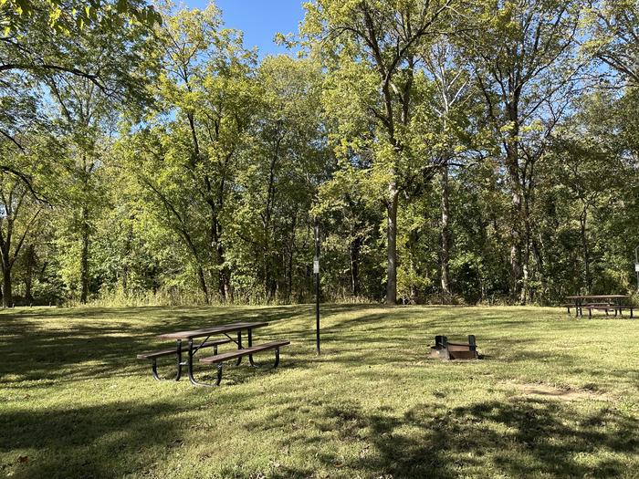 A photo of Site 722 of Loop Loop 700 at ALLEY SPRING with Picnic Table, Fire Pit, Lantern Pole