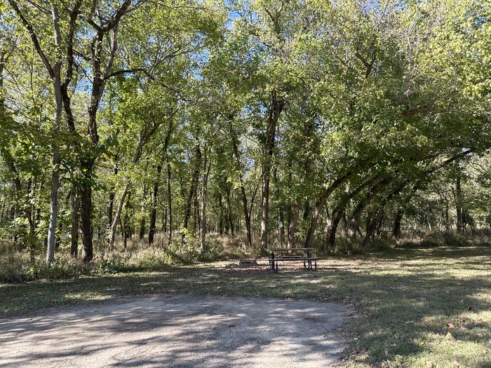 A photo of Site 903 of Loop Loop 900 at ALLEY SPRING with Picnic Table, Fire Pit, Lantern Pole